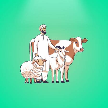 Qurban
